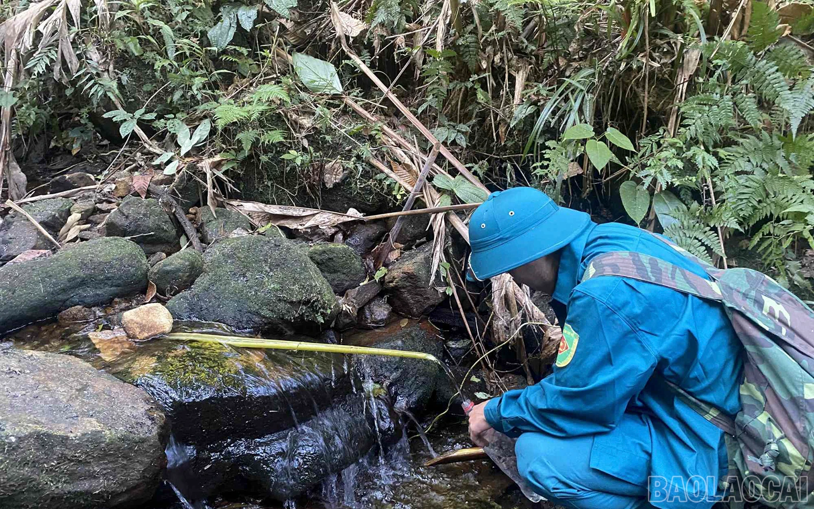 baolaocai_cc (7).jpg