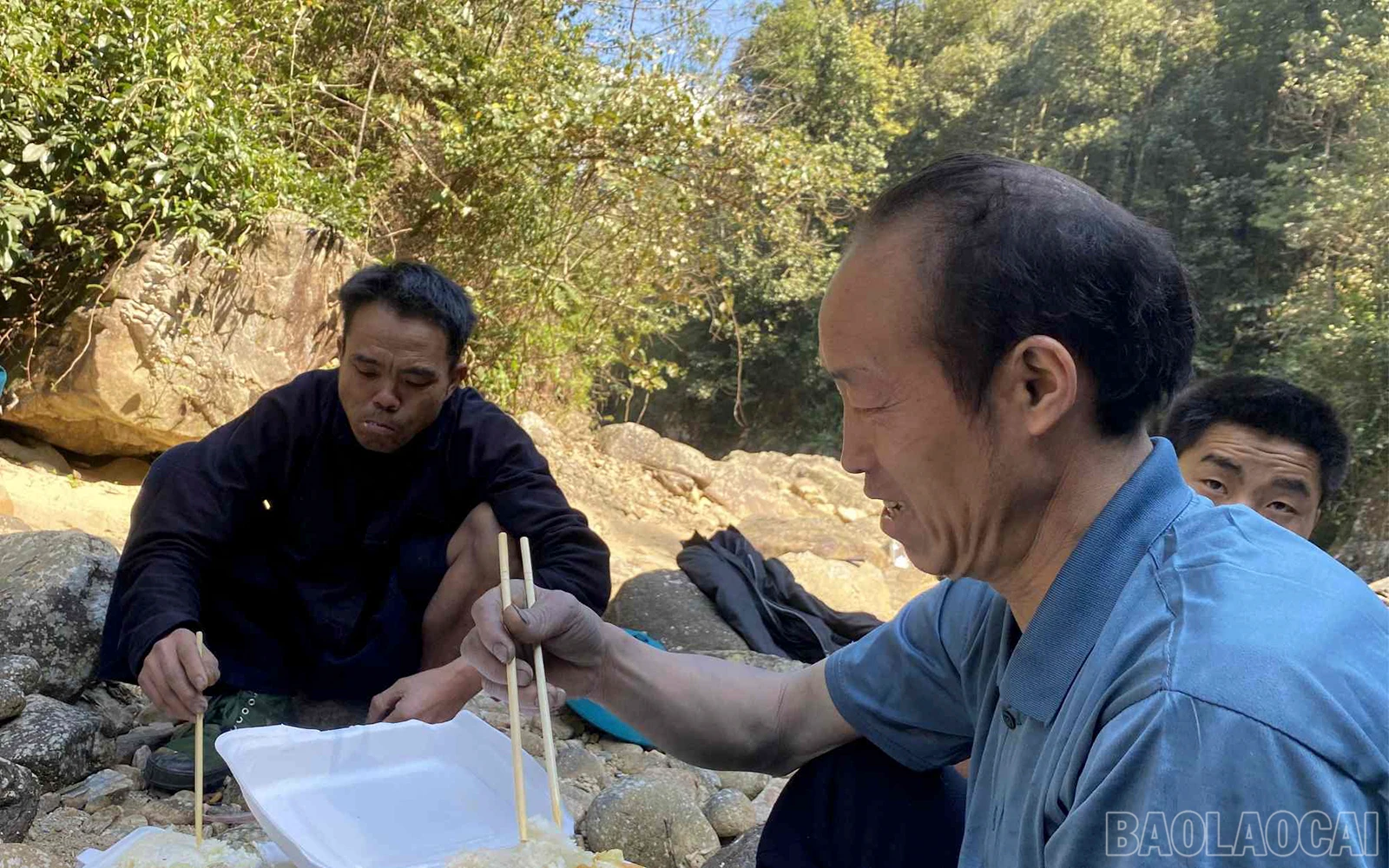 baolaocai_cc (12).jpg