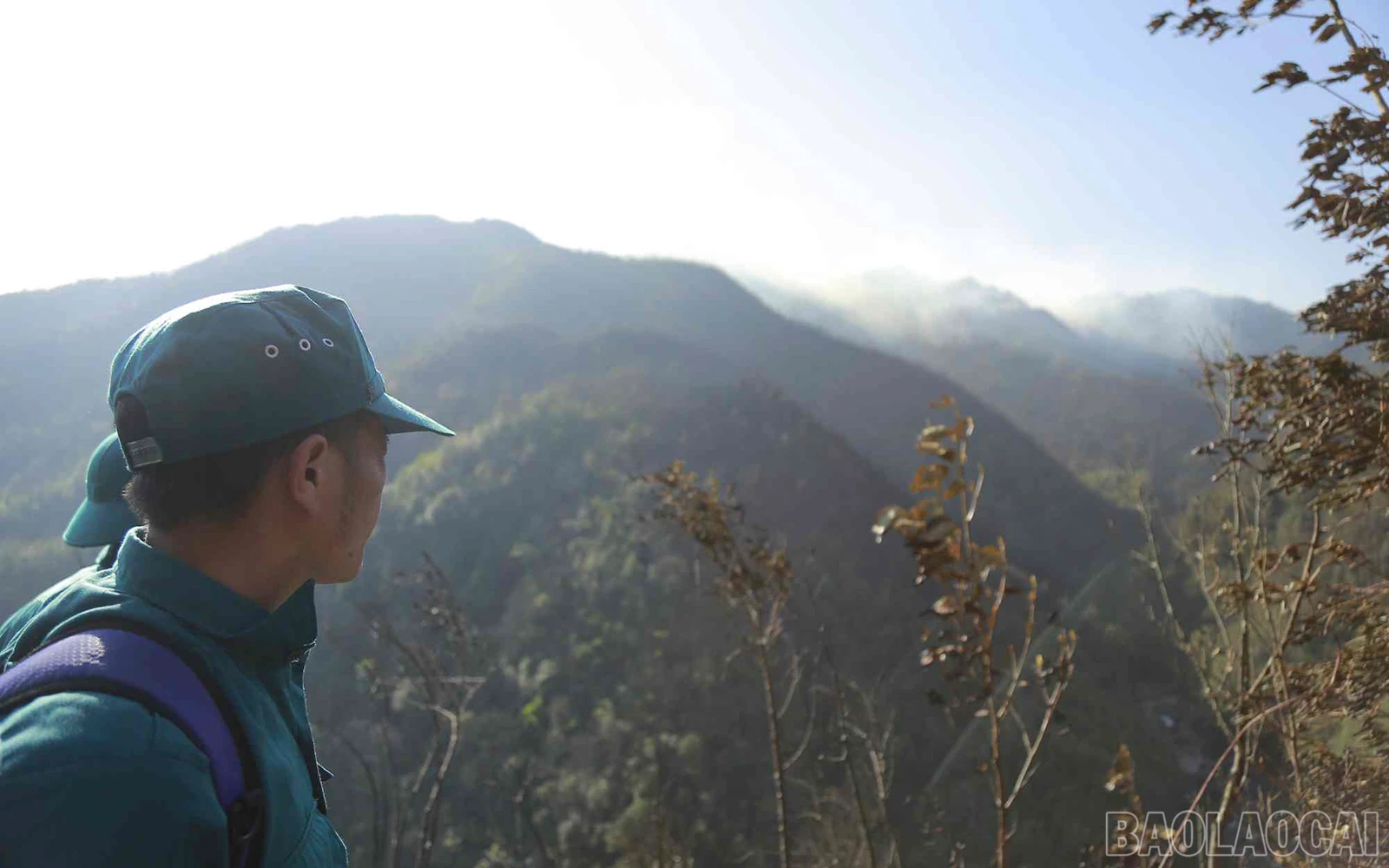 baolaocai_cc (5).jpg