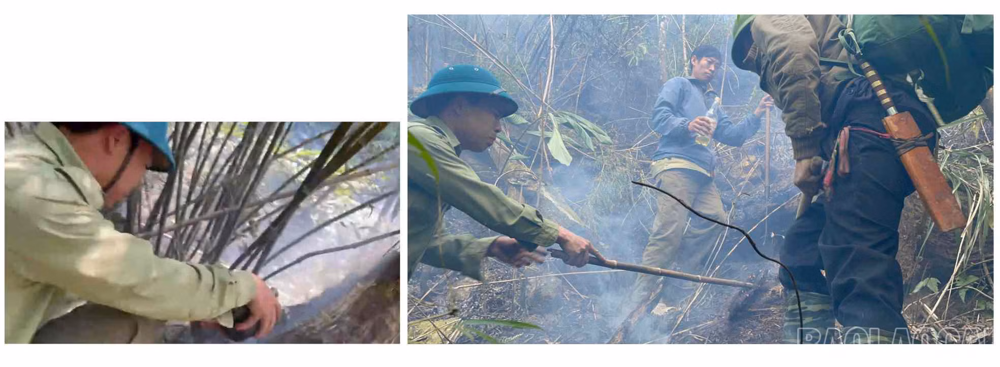 baolaocai_cc (14).jpg