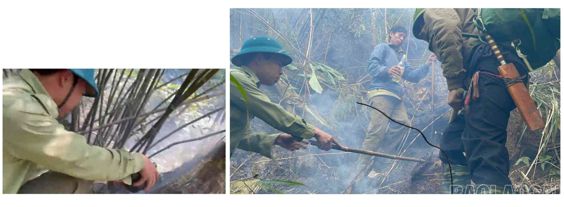 baolaocai_cc (14).jpg