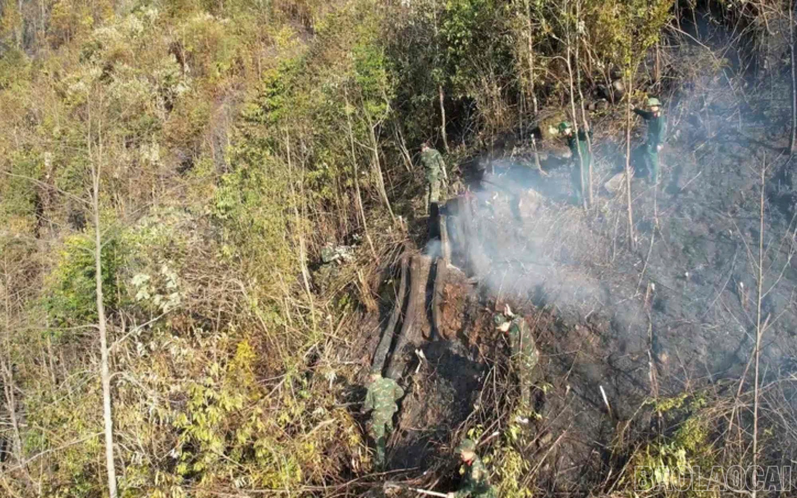 baolaocai_cc (16).jpg