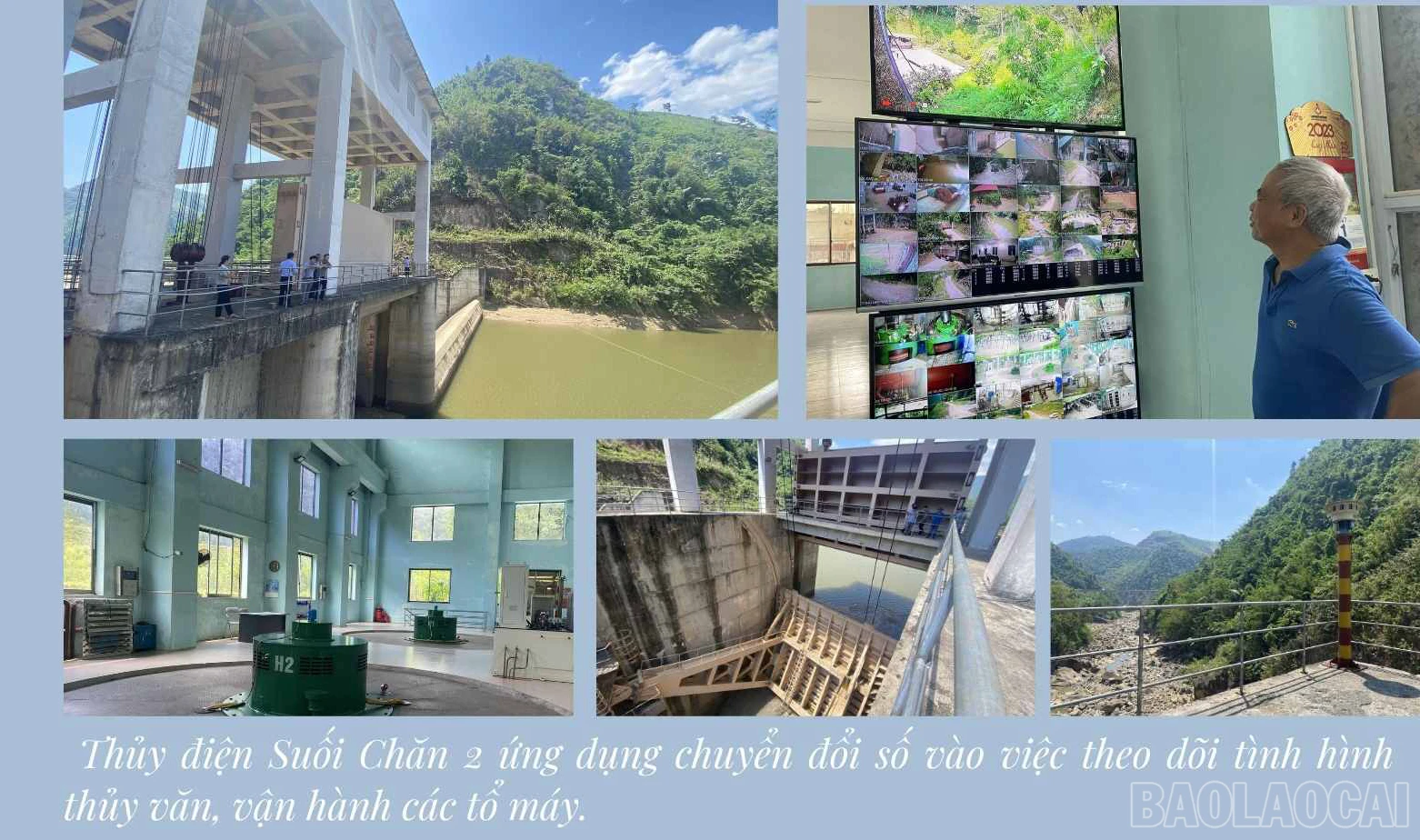 baolaocai_hd (3).jpg