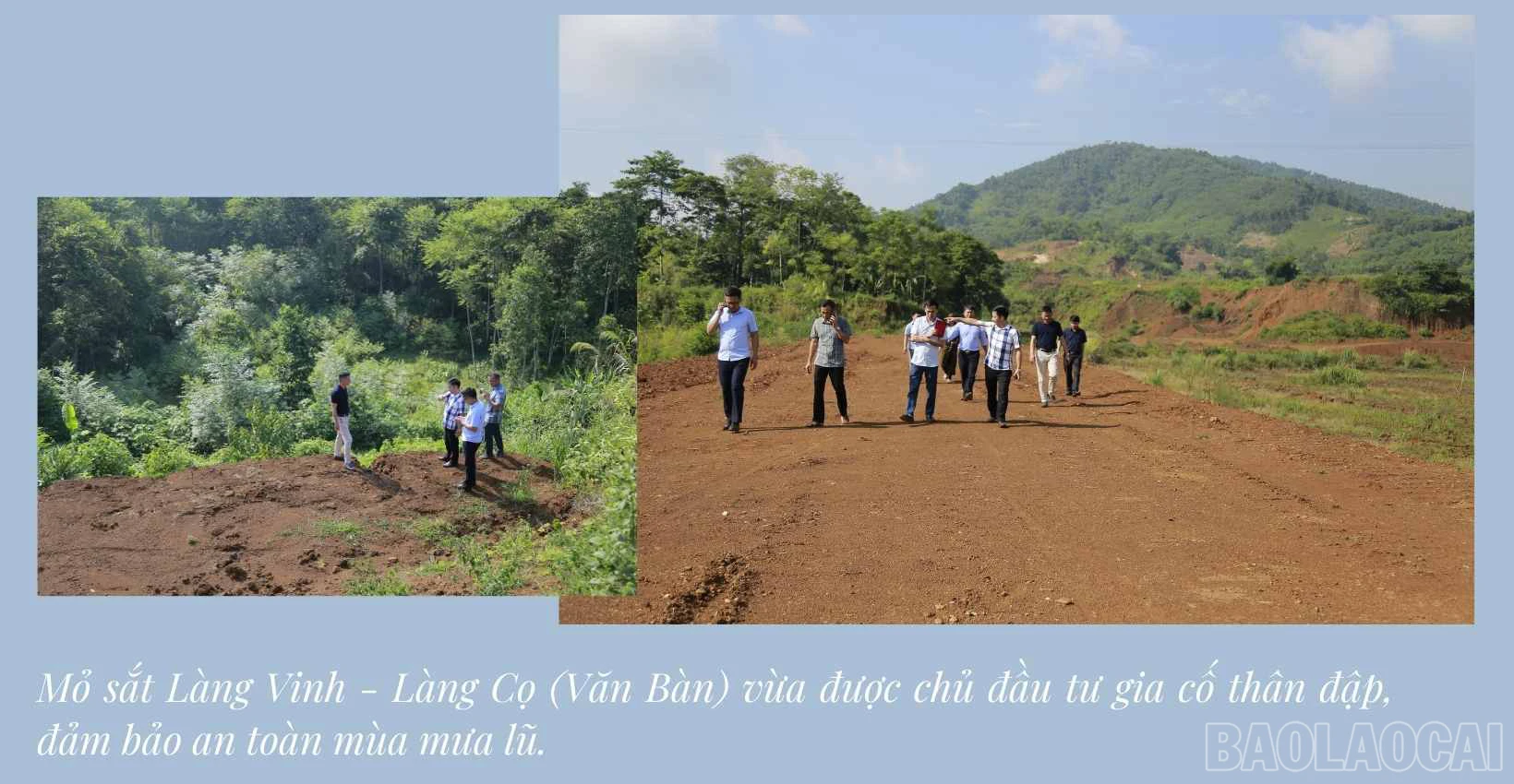 baolaocai_hd (5).jpg