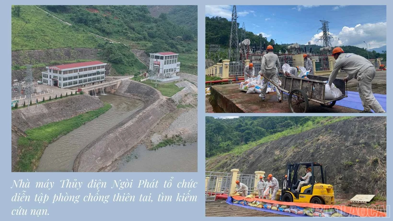 baolaocai_hd (4).jpg