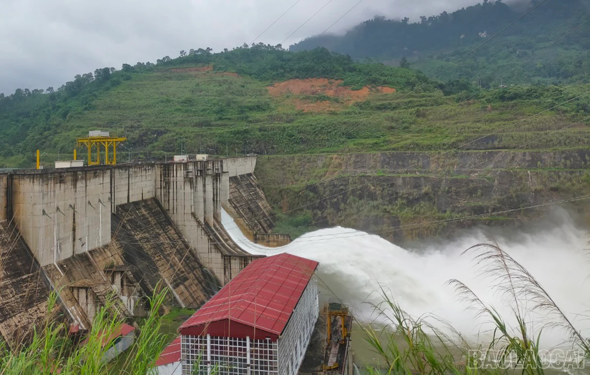 baolaocai_xatran (2).jpg