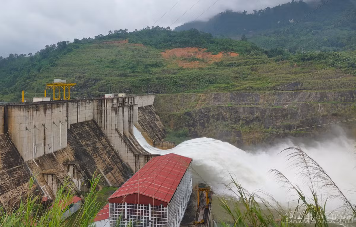 baolaocai_xatran (2).jpg