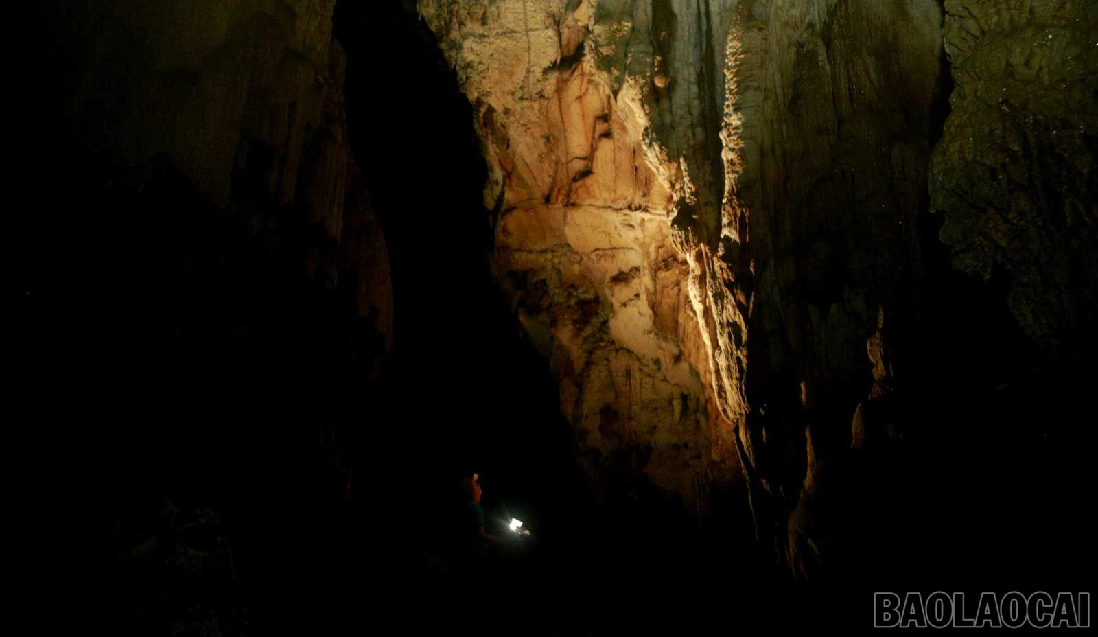 baolaocai_tt (5).jpg