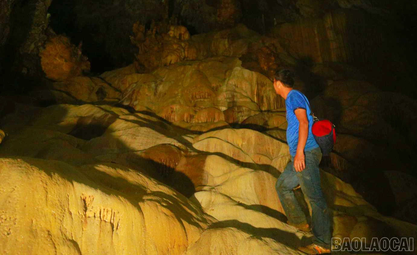 baolaocai_tt (14).jpg