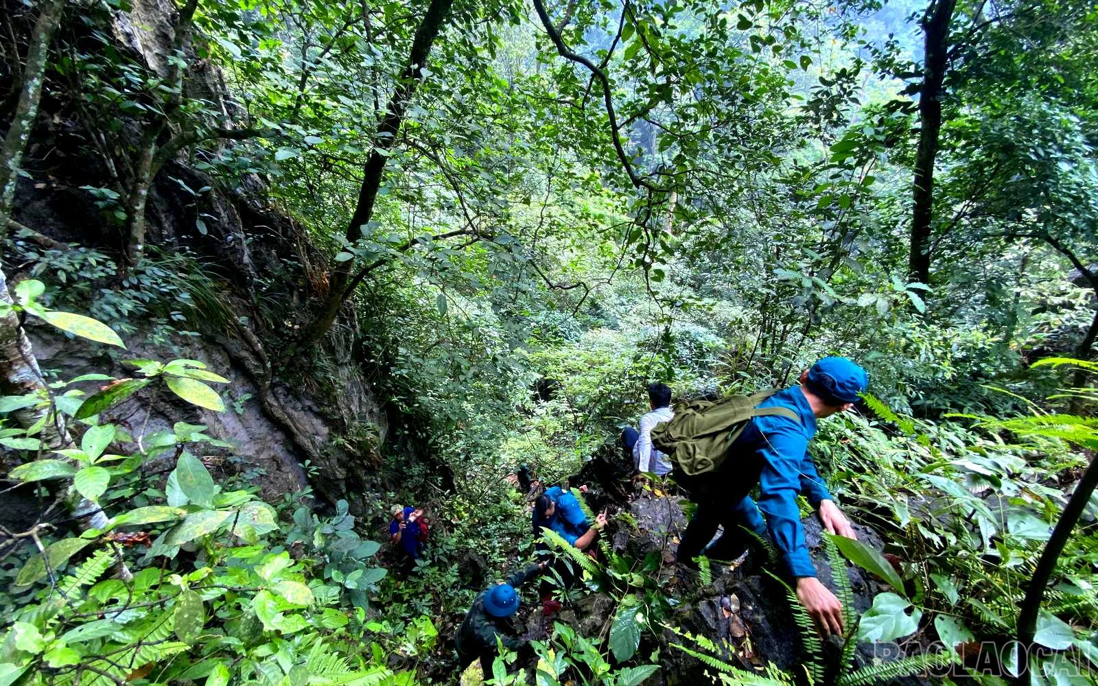 baolaocai_tt (2).jpg