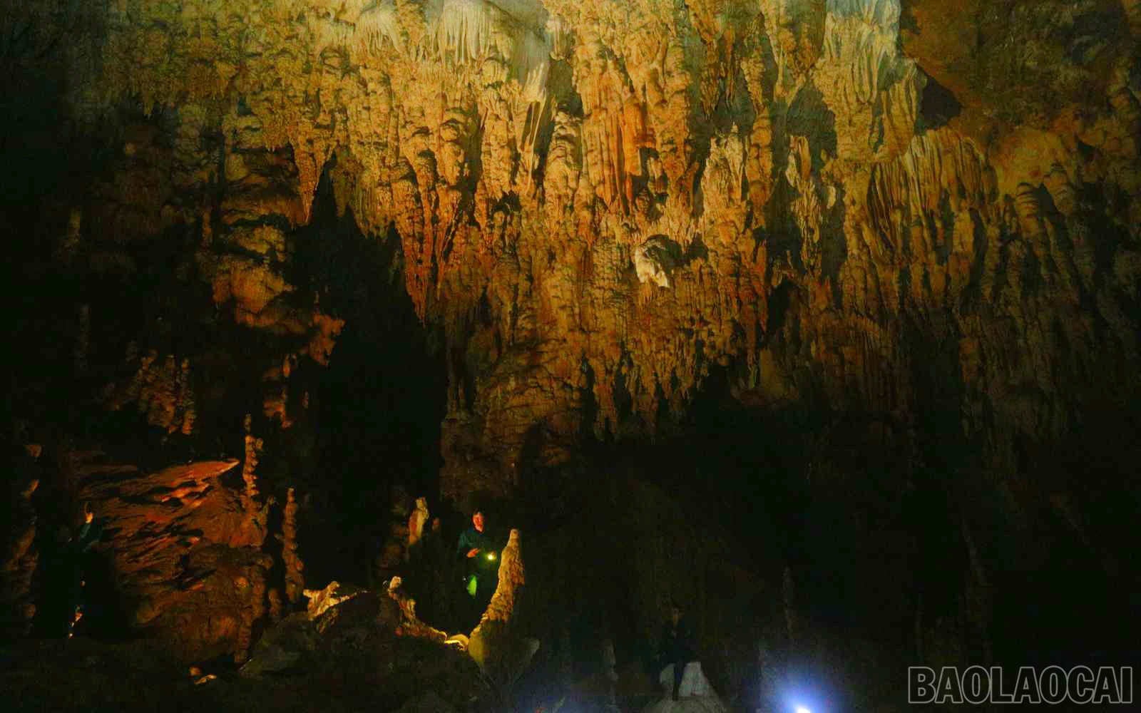 baolaocai_tt (12).jpg