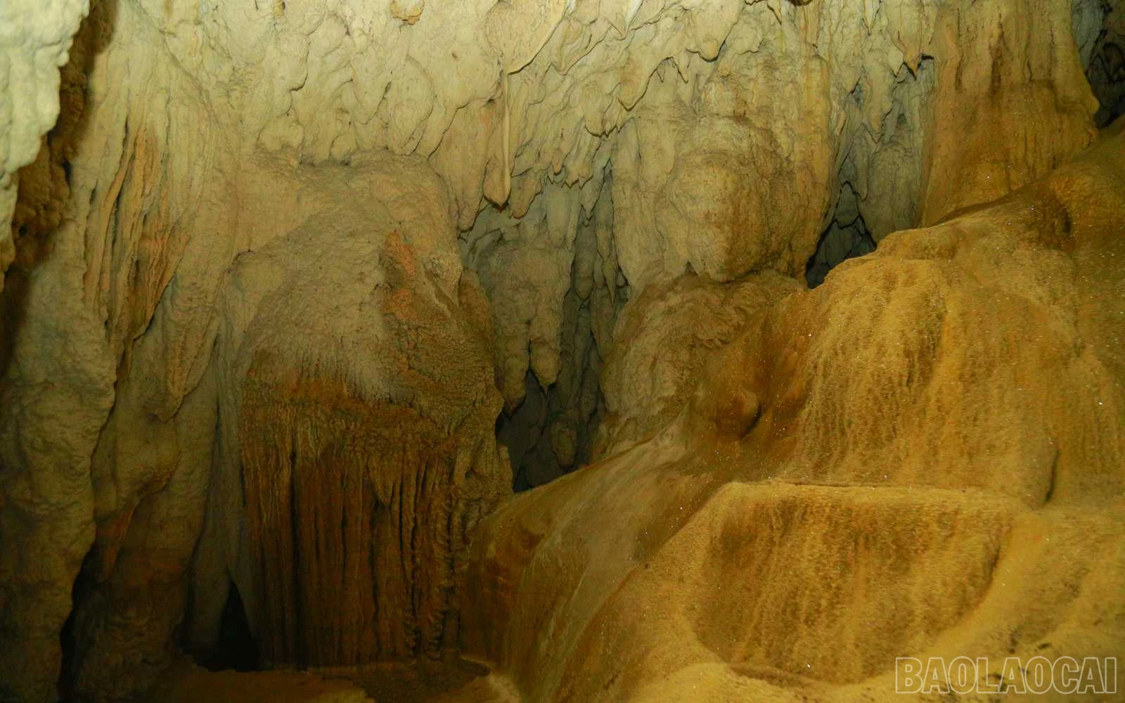 baolaocai_tt (6).jpg