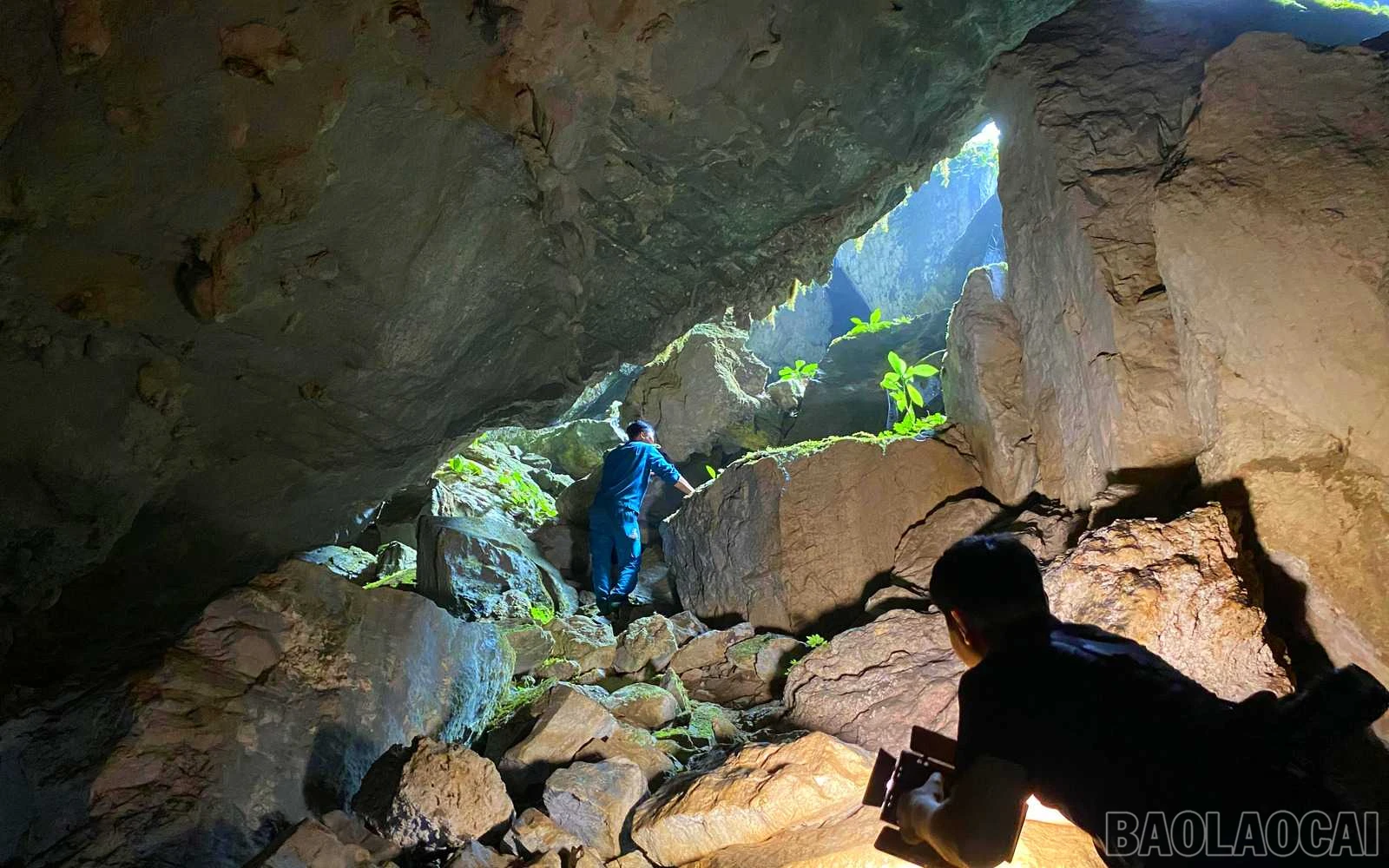 baolaocai_tt (4).jpg