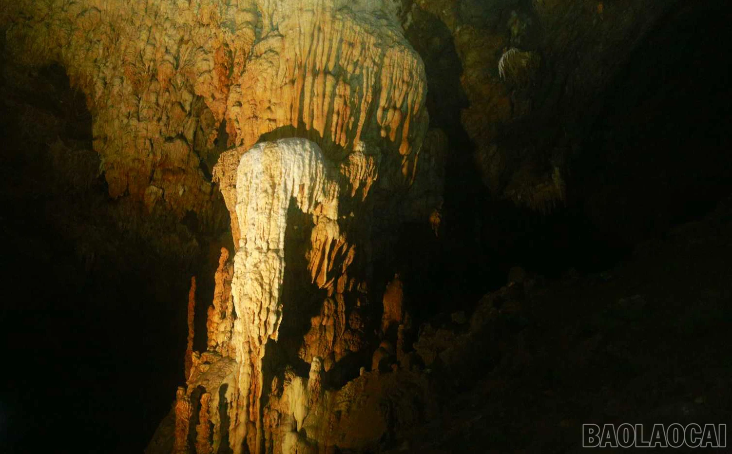 baolaocai_tt (7).jpg