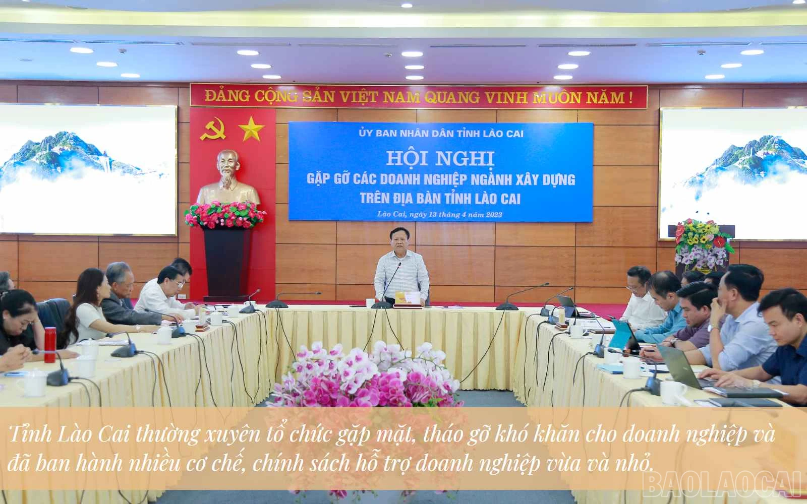 baolaocai_vvn (5).jpg