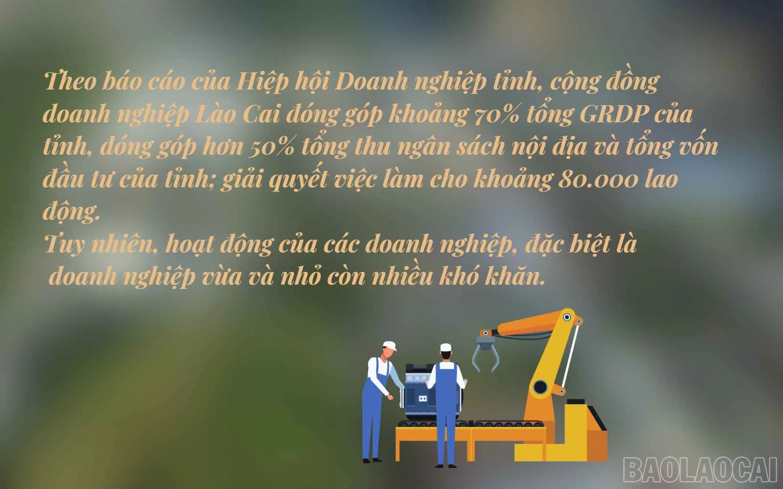 baolaocai_vvn (2).jpg