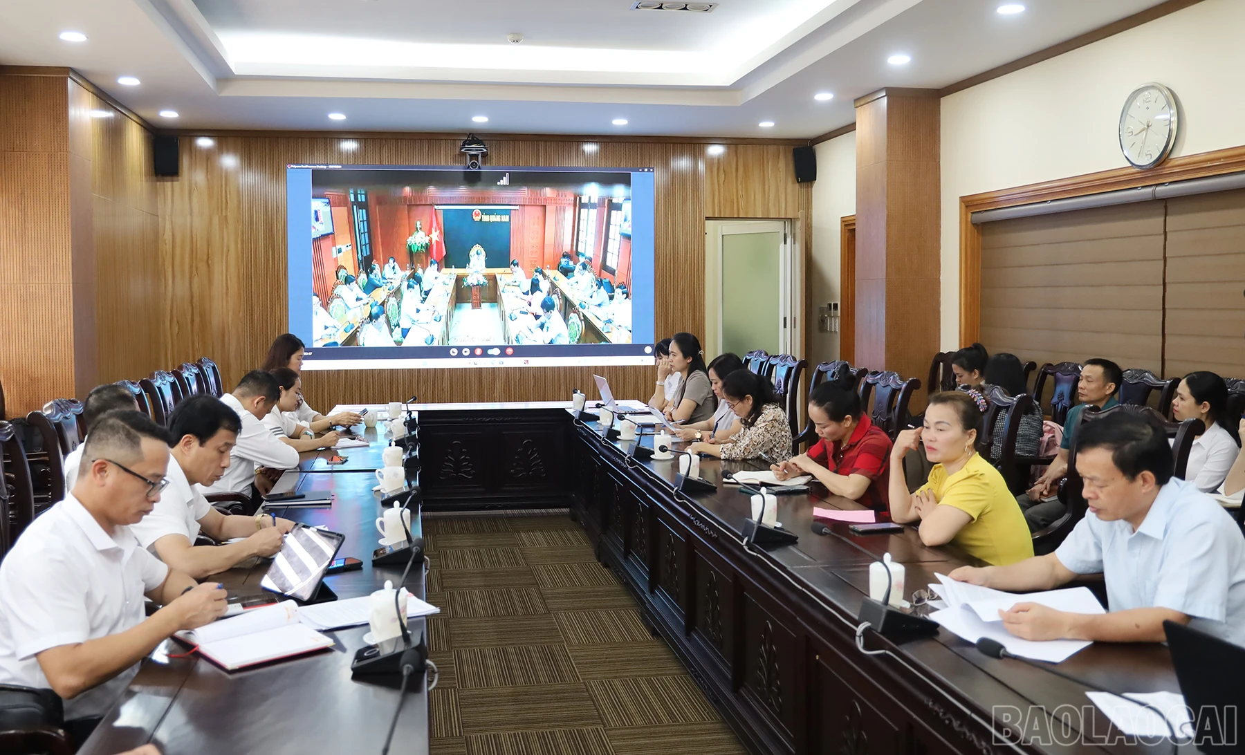 baolaocai_htx (2).JPG