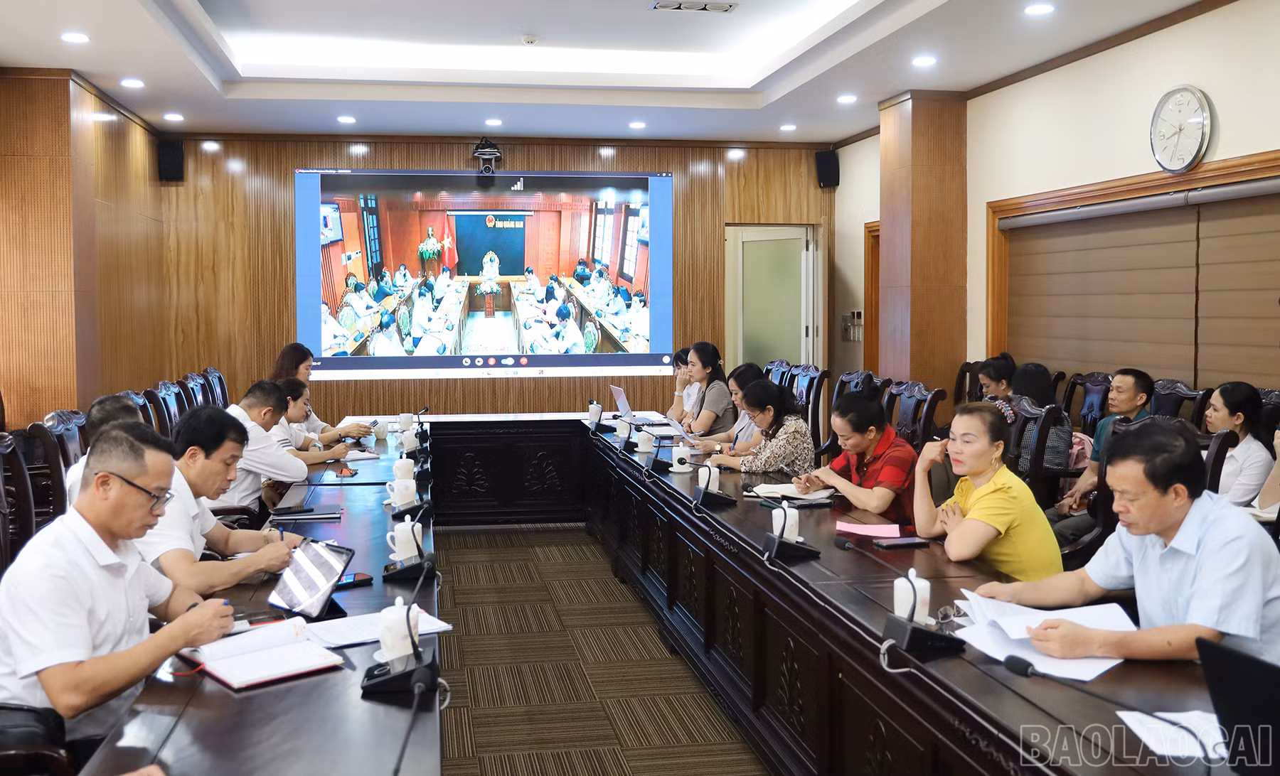 baolaocai_htx (2).JPG