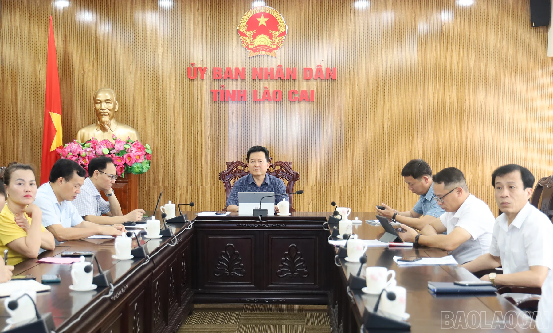 baolaocai_htx (1).JPG