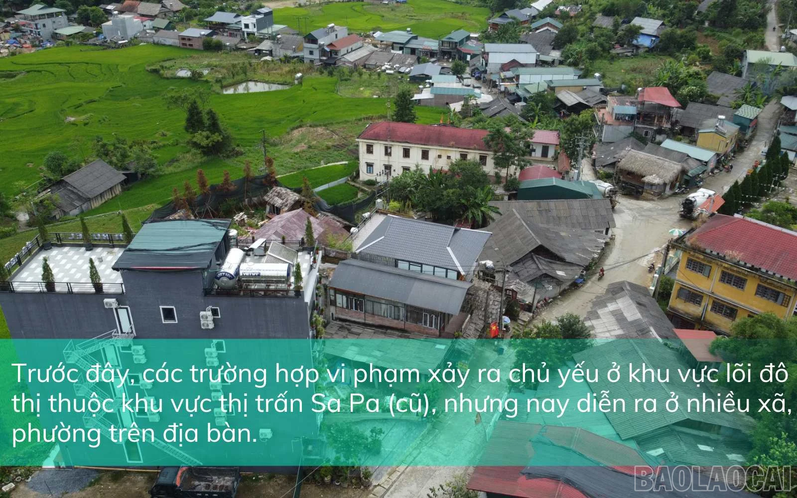 baolaocai_sapa (2).jpg