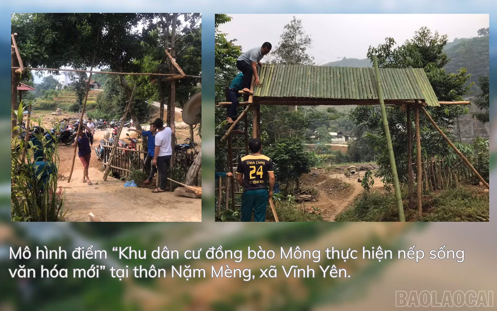 baolaocai_by (5).jpg