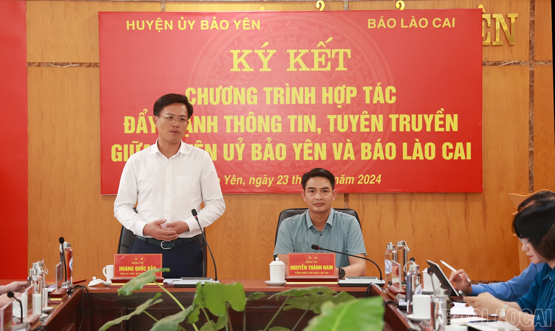 baolaocai_kk (4).JPG