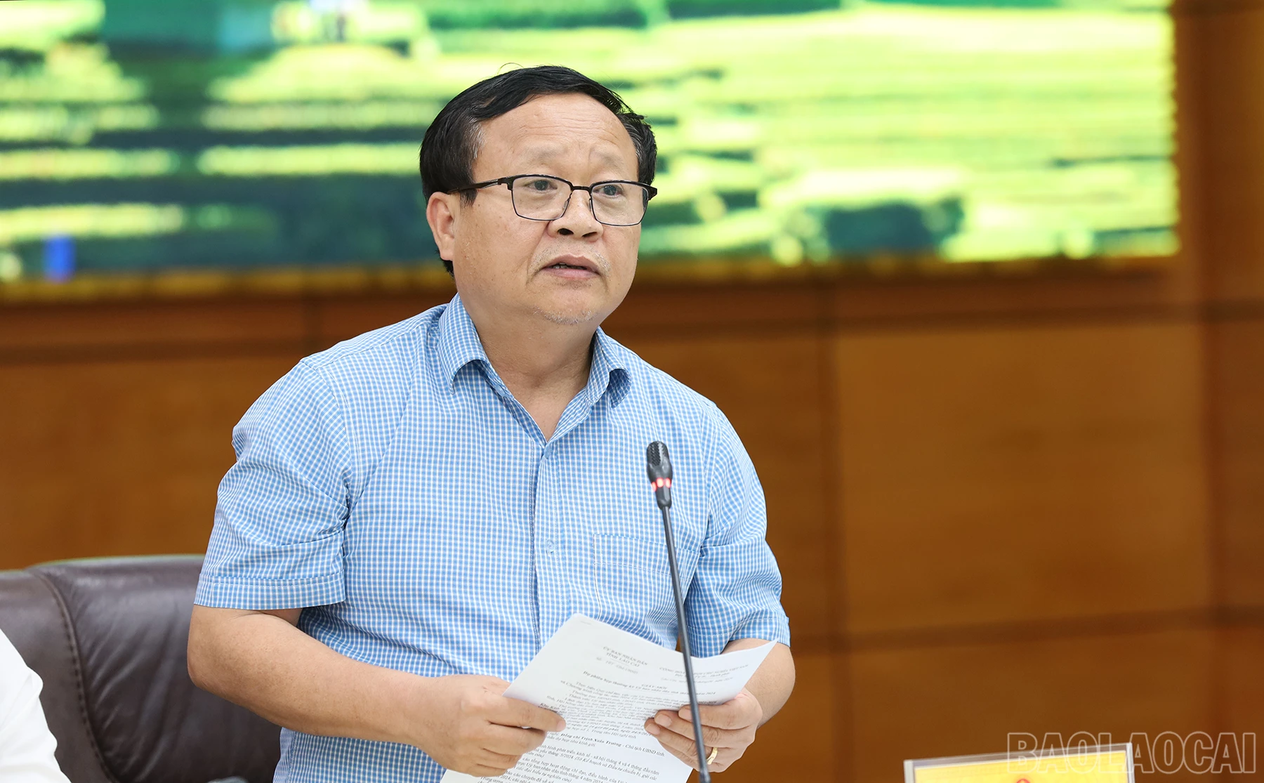 baolaocai_tk (5).JPG