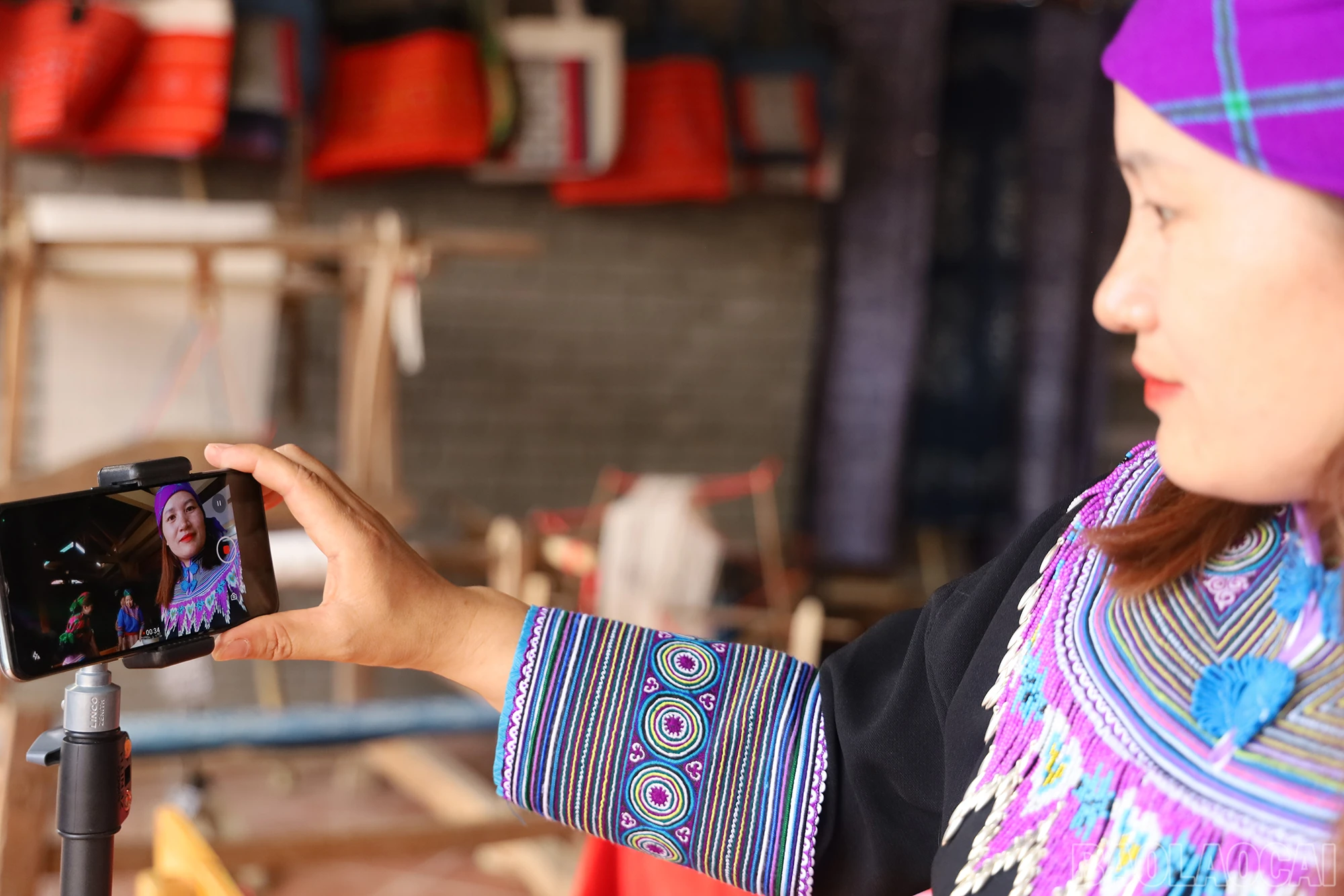 baolaocai_tgp (7).JPG