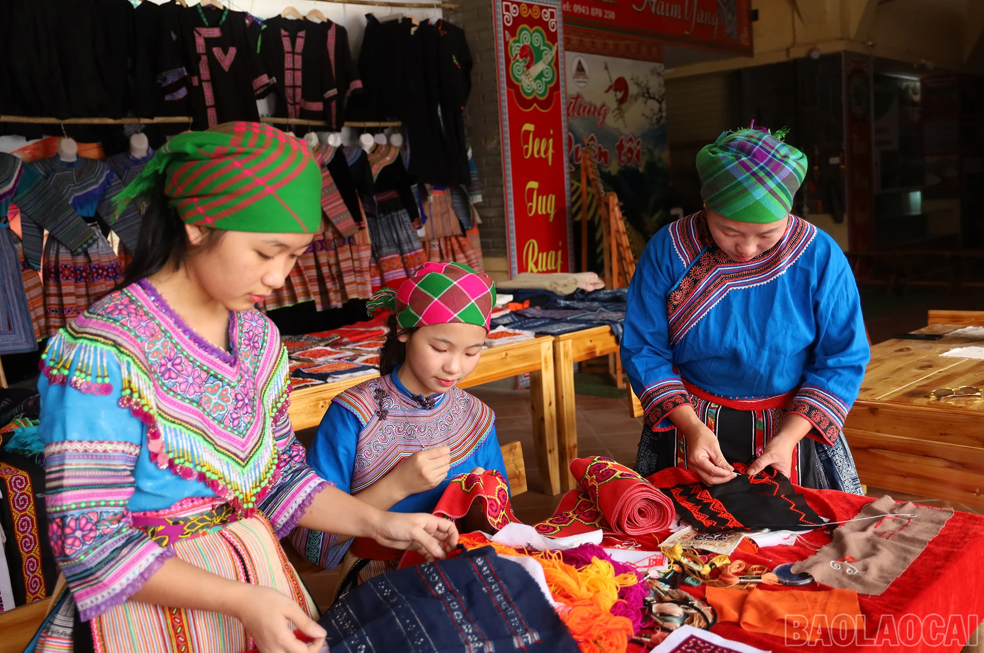 baolaocai_tgp (1).JPG