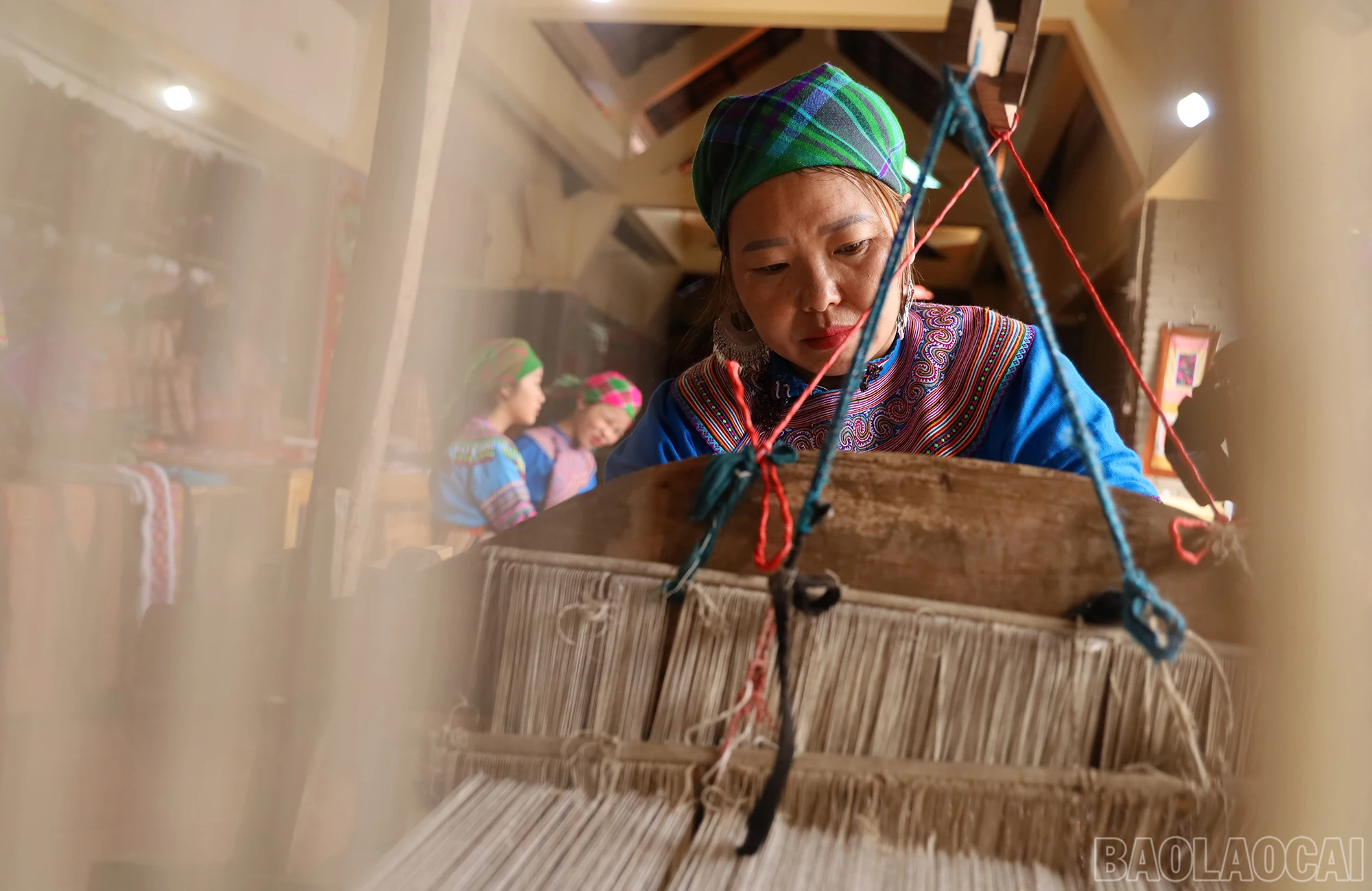 baolaocai_tgp (5).JPG