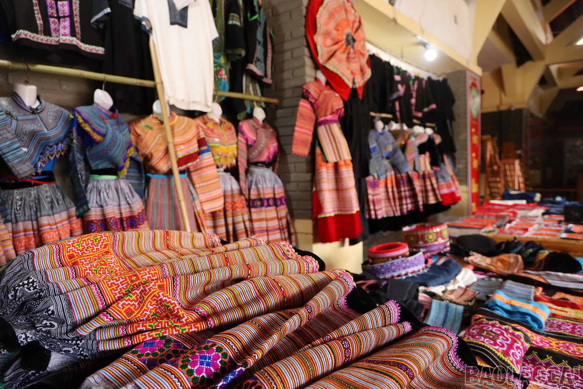 baolaocai_tgp (13).JPG