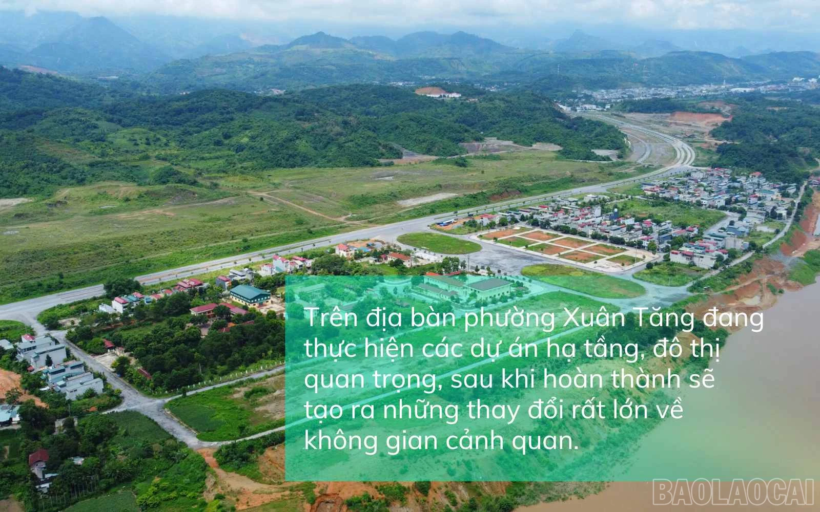 baolaocai_vd (2).jpg