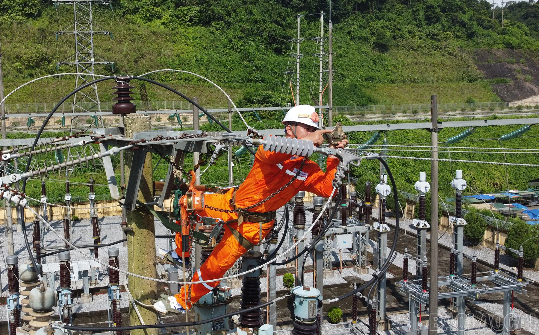 baolaocai_ht (2).JPG