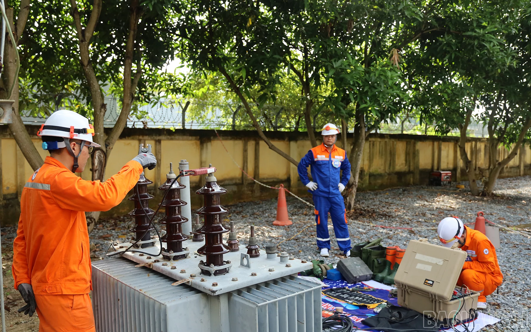 baolaocai_ht (4).JPG