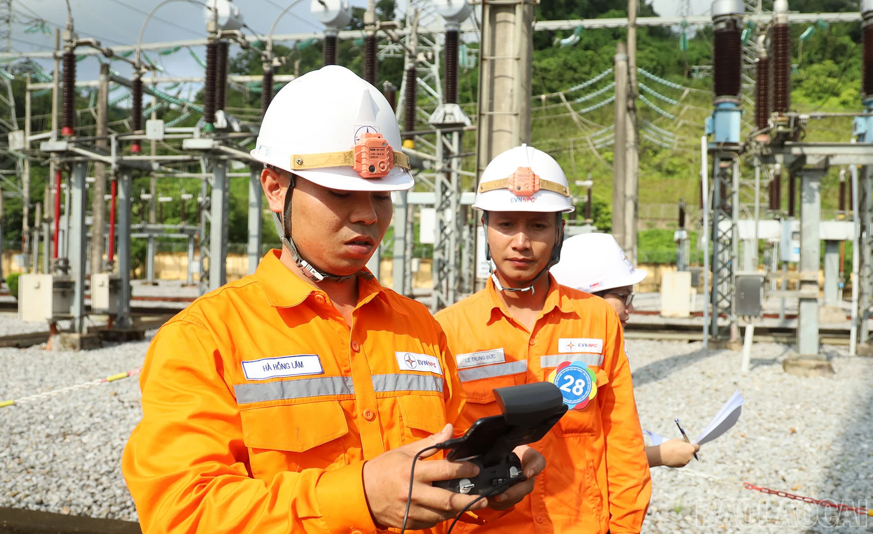 baolaocai_ht (5).JPG