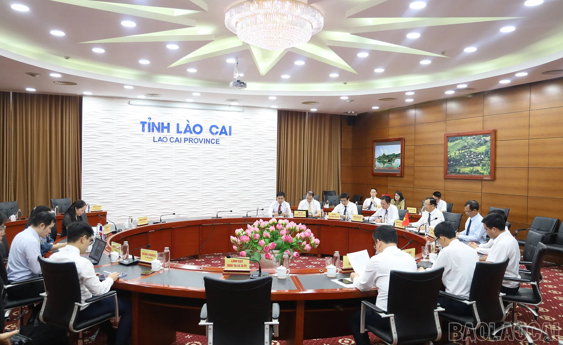 baolaocai_gg (1).JPG