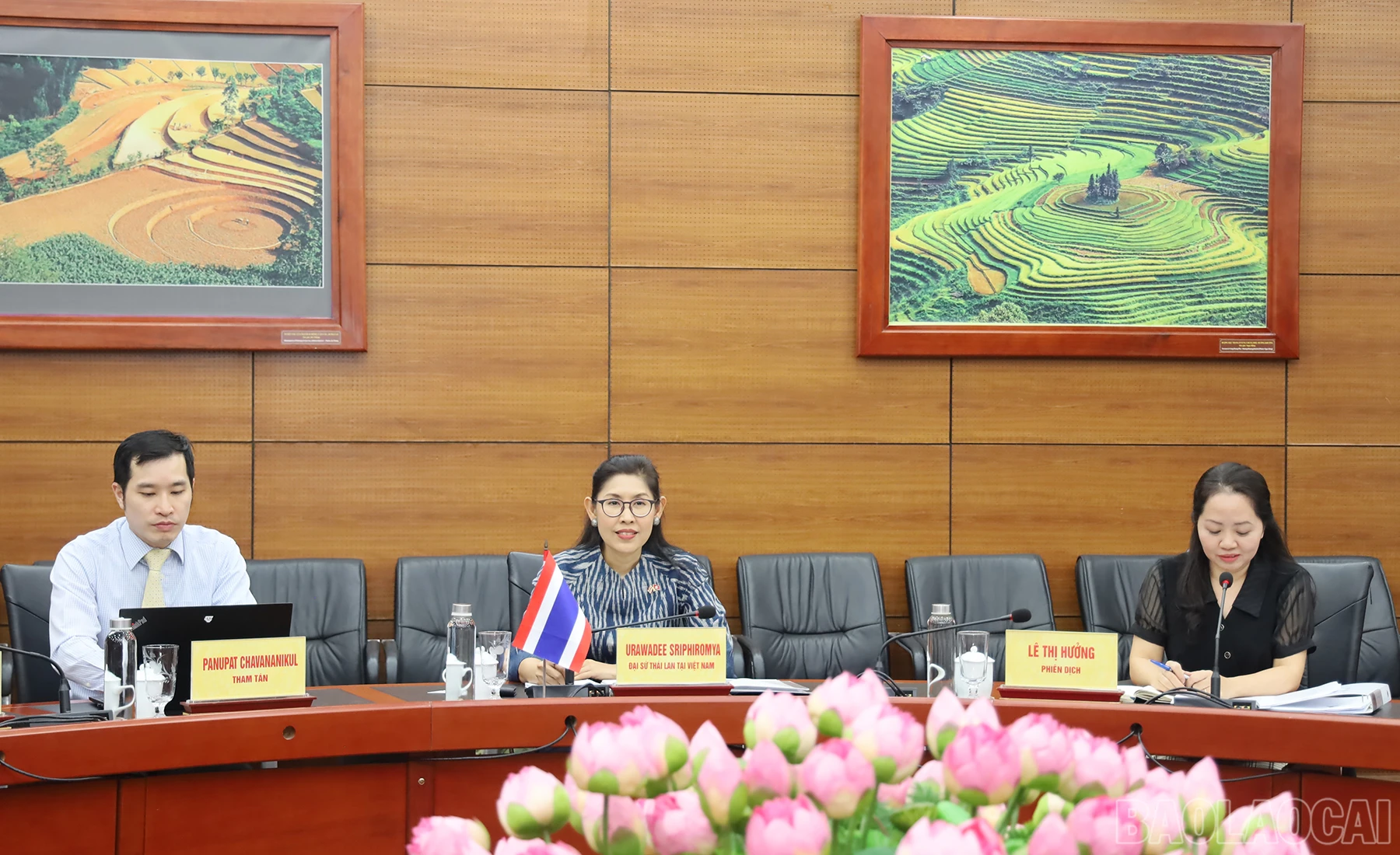 baolaocai_gg (5).JPG