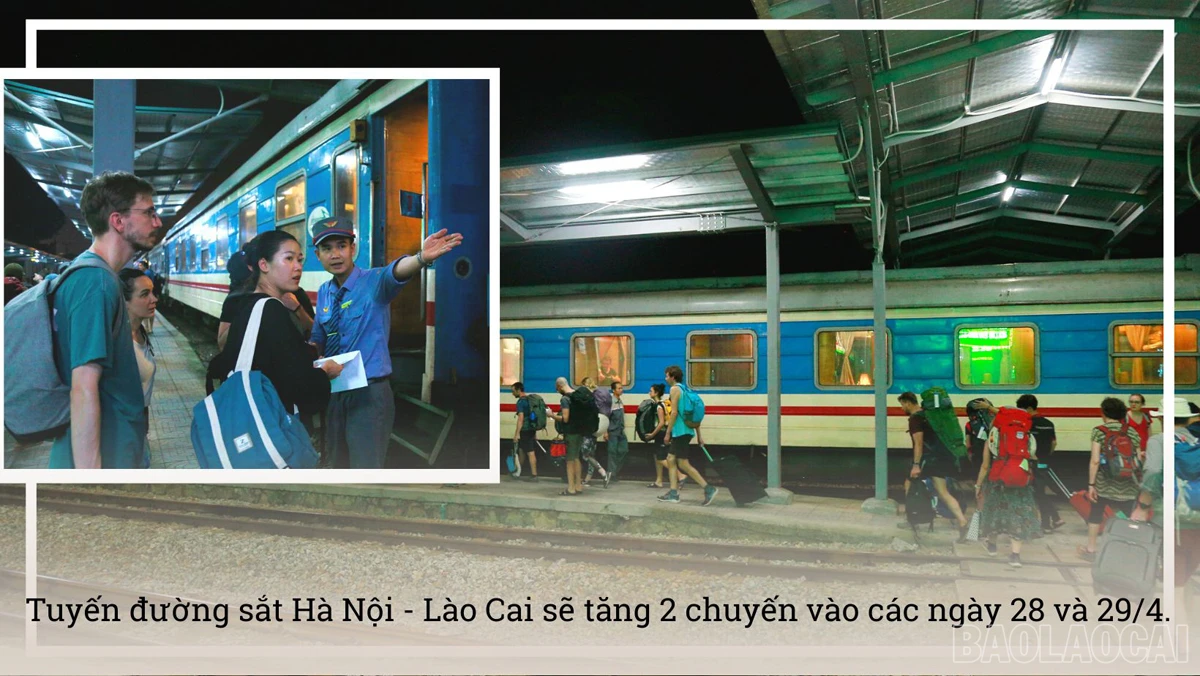 baolaocai_tauxe (5).jpg