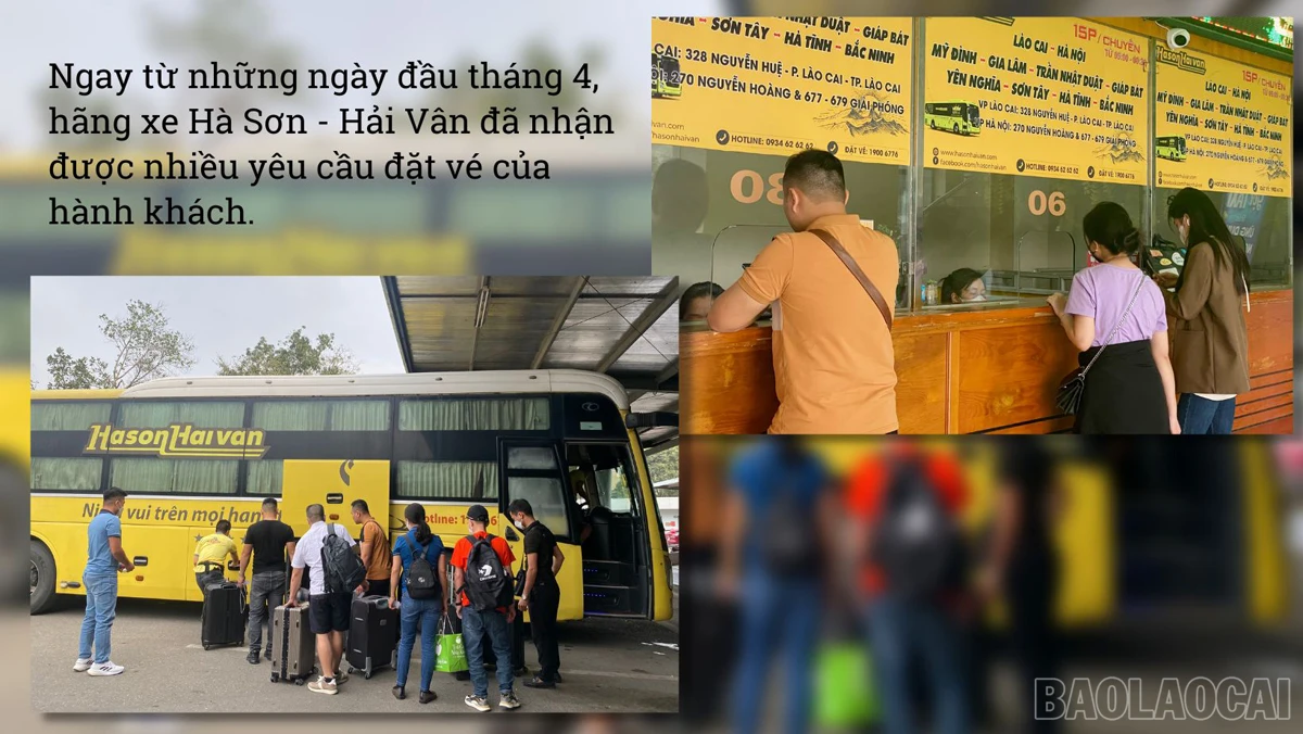 baolaocai_tauxe (3).jpg