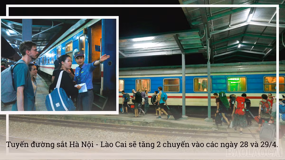 baolaocai_tauxe (5).jpg