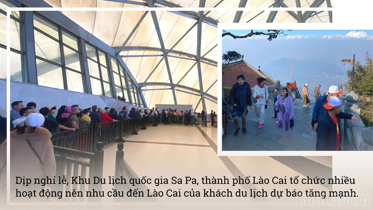 baolaocai_tauxe (2).jpg