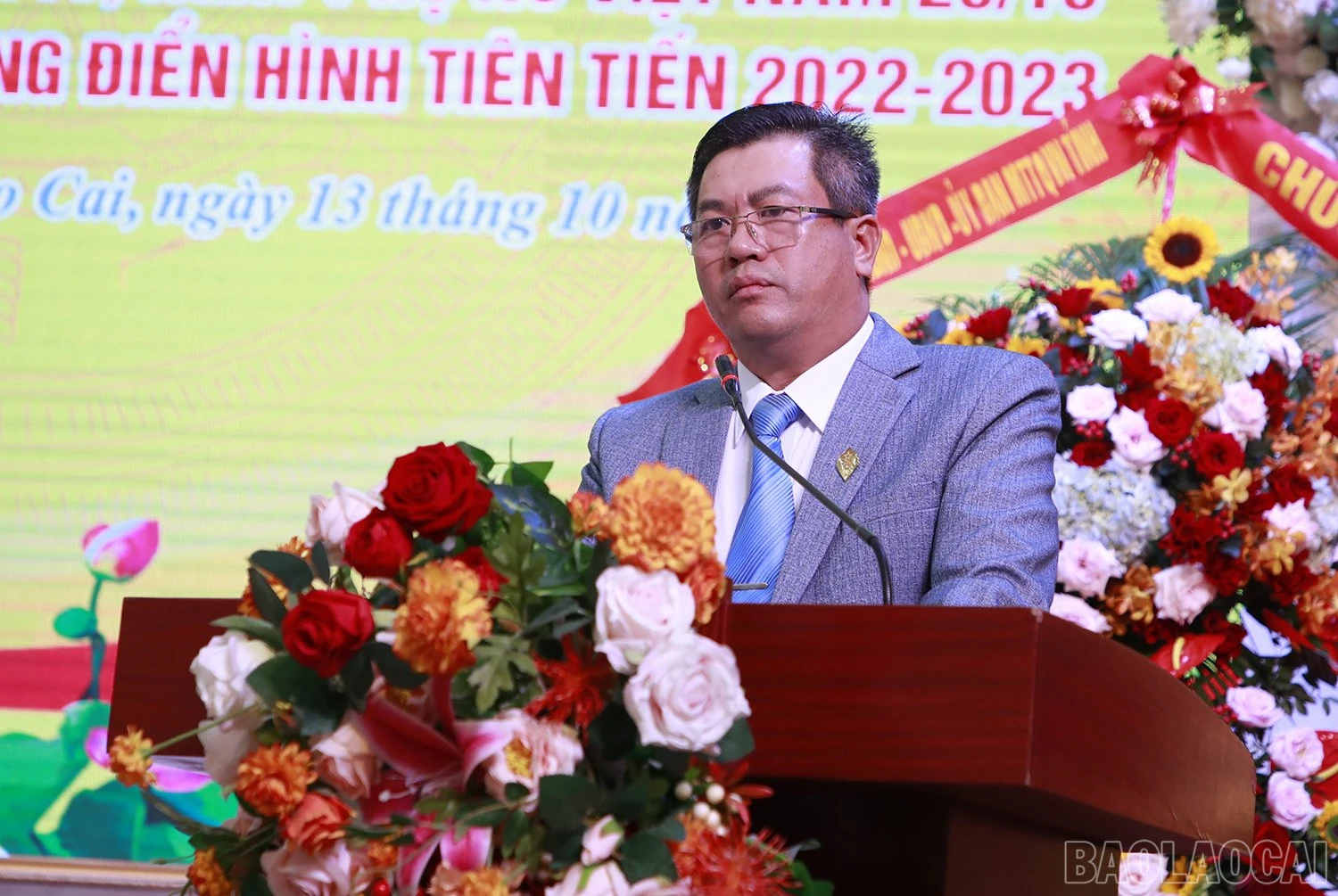 baolaocai_dn (11).jpg