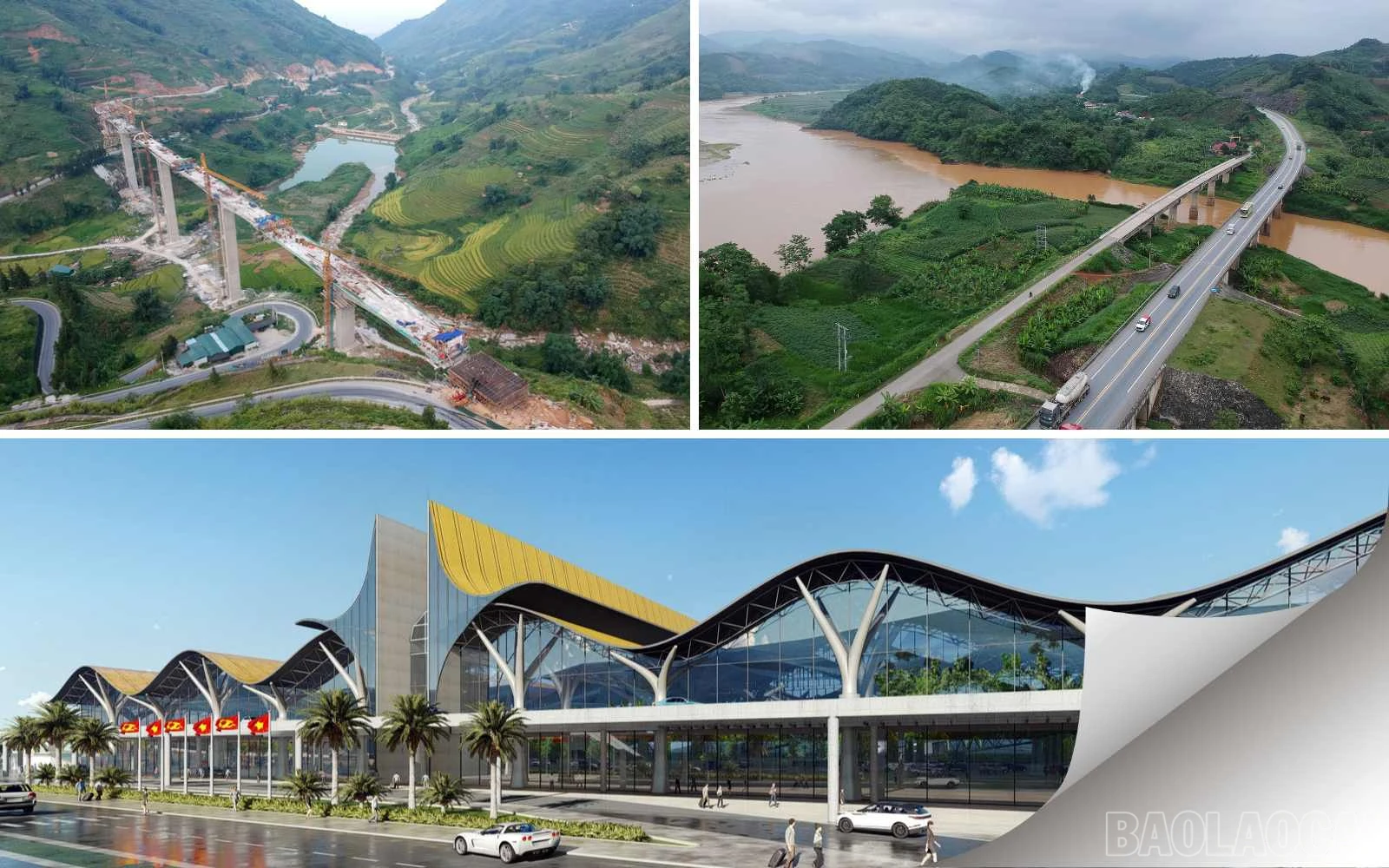 baolaocai_pci (7).jpg