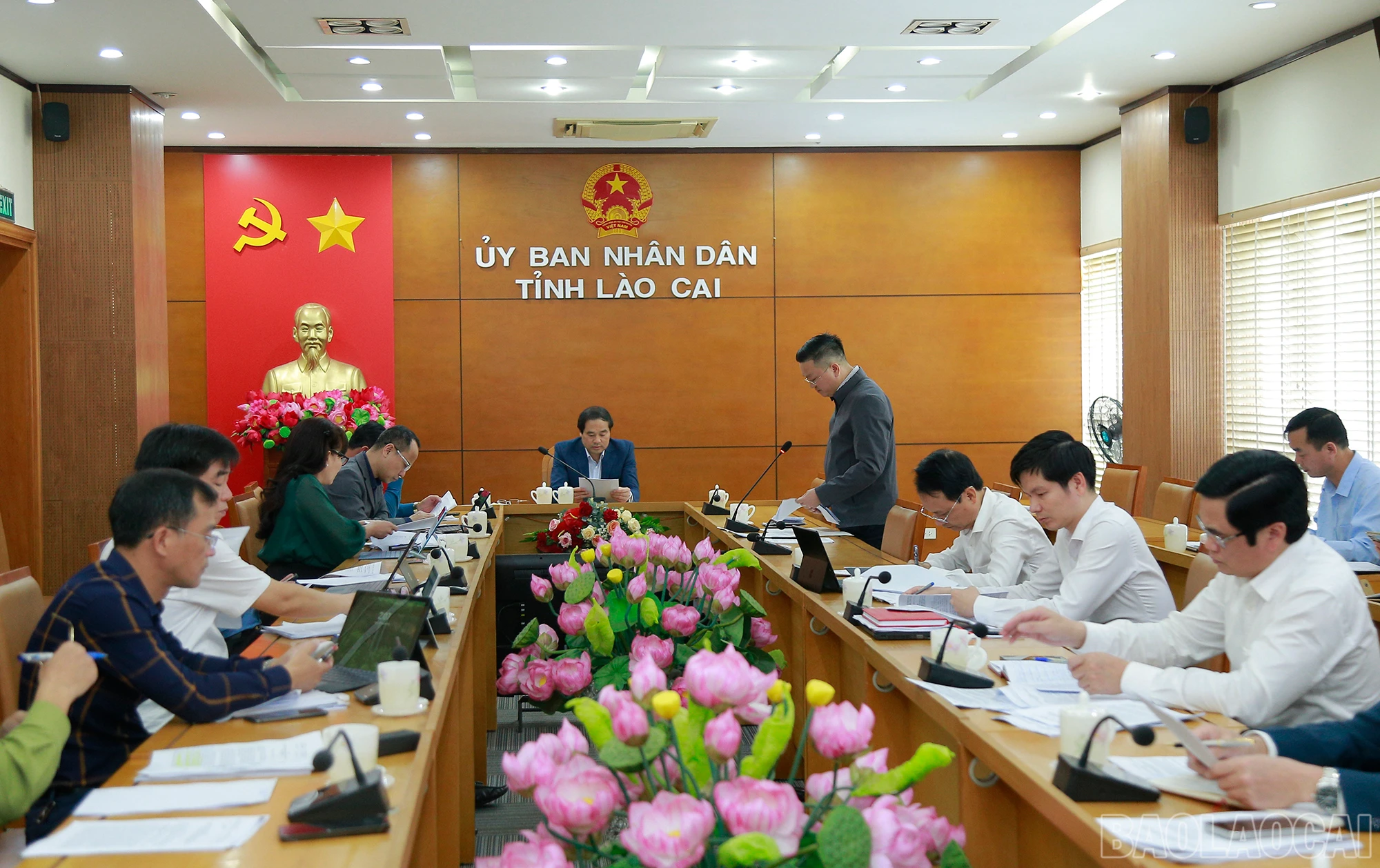 baolaocai_nq (2).JPG