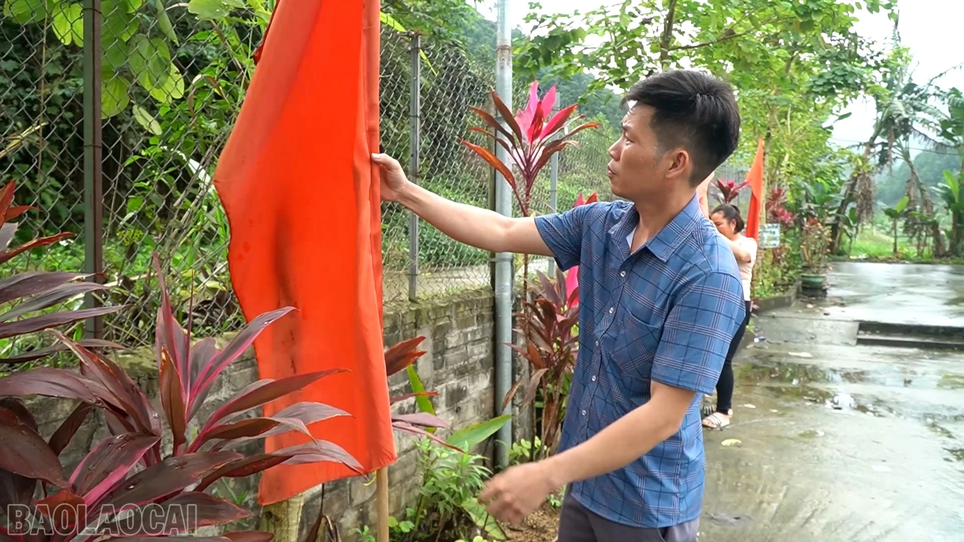 baolaocai-bl_baucuchauque2.jpg