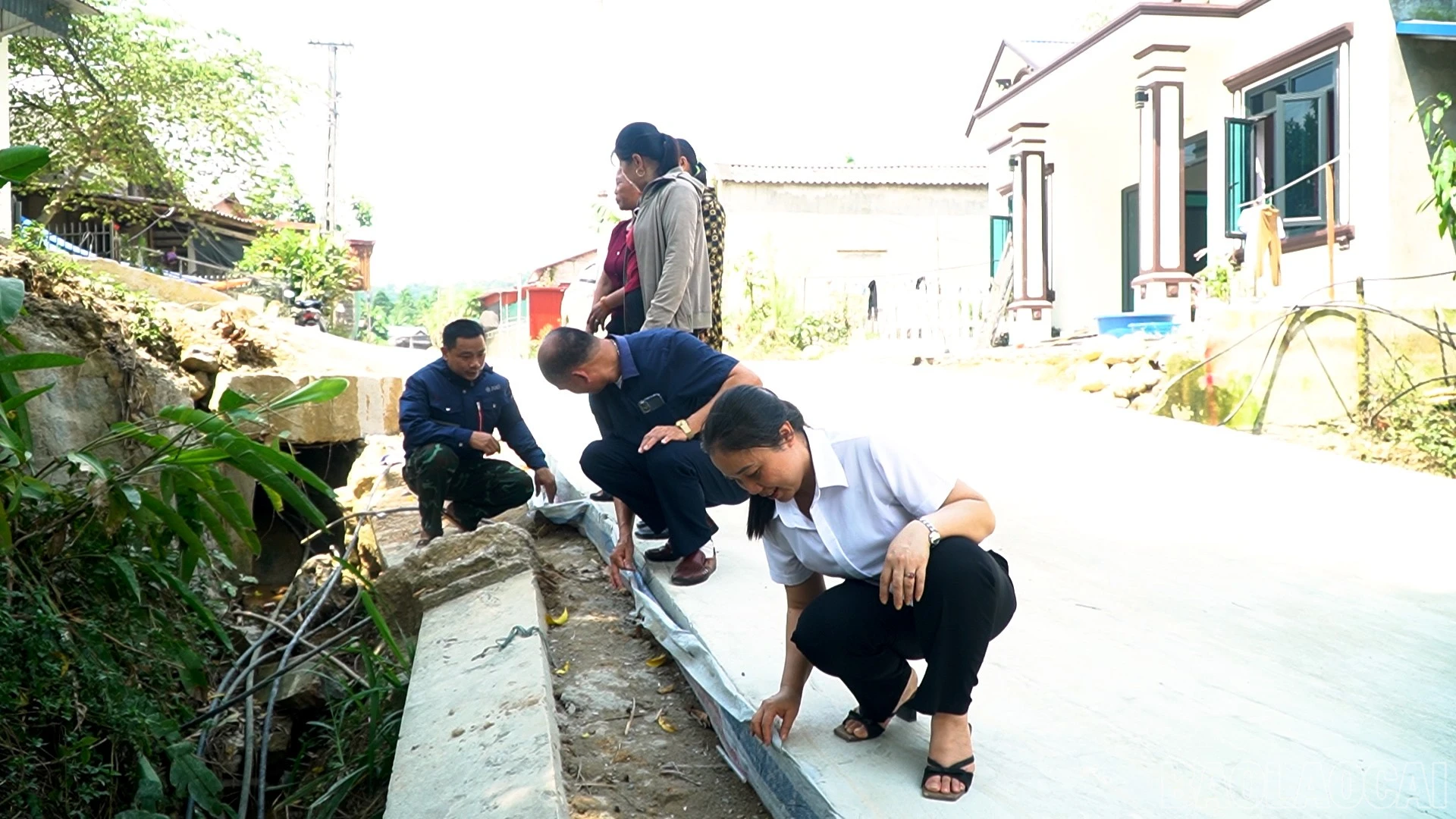 baolaocai-br_gthong.jpg