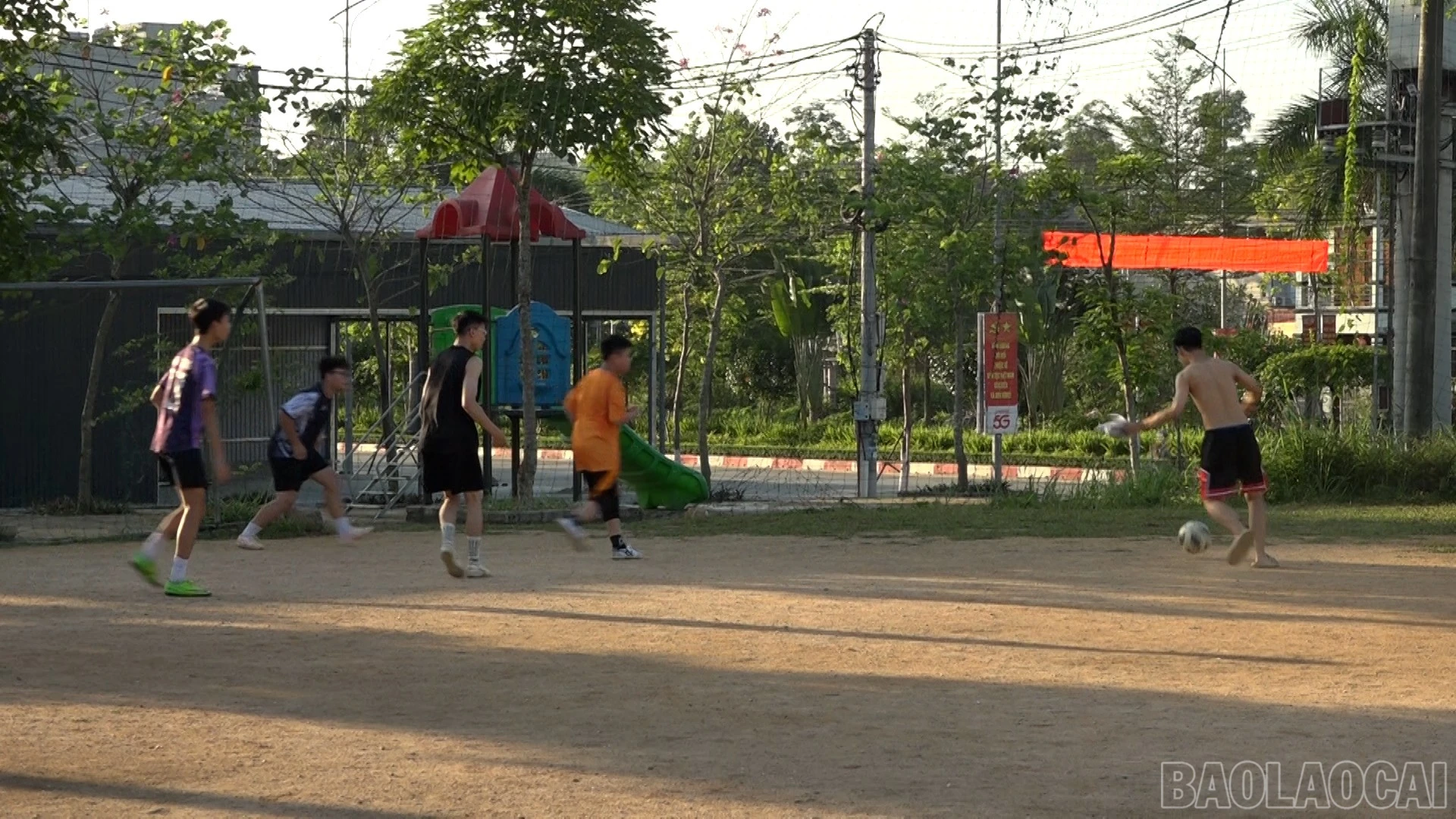 baolaocai-br_9.jpg