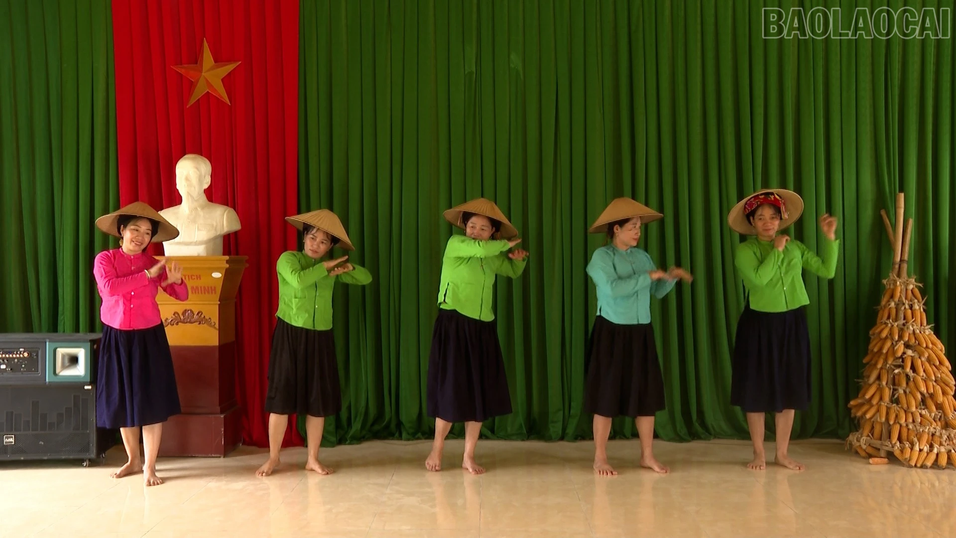 baolaocai-tr_anh-9.jpg