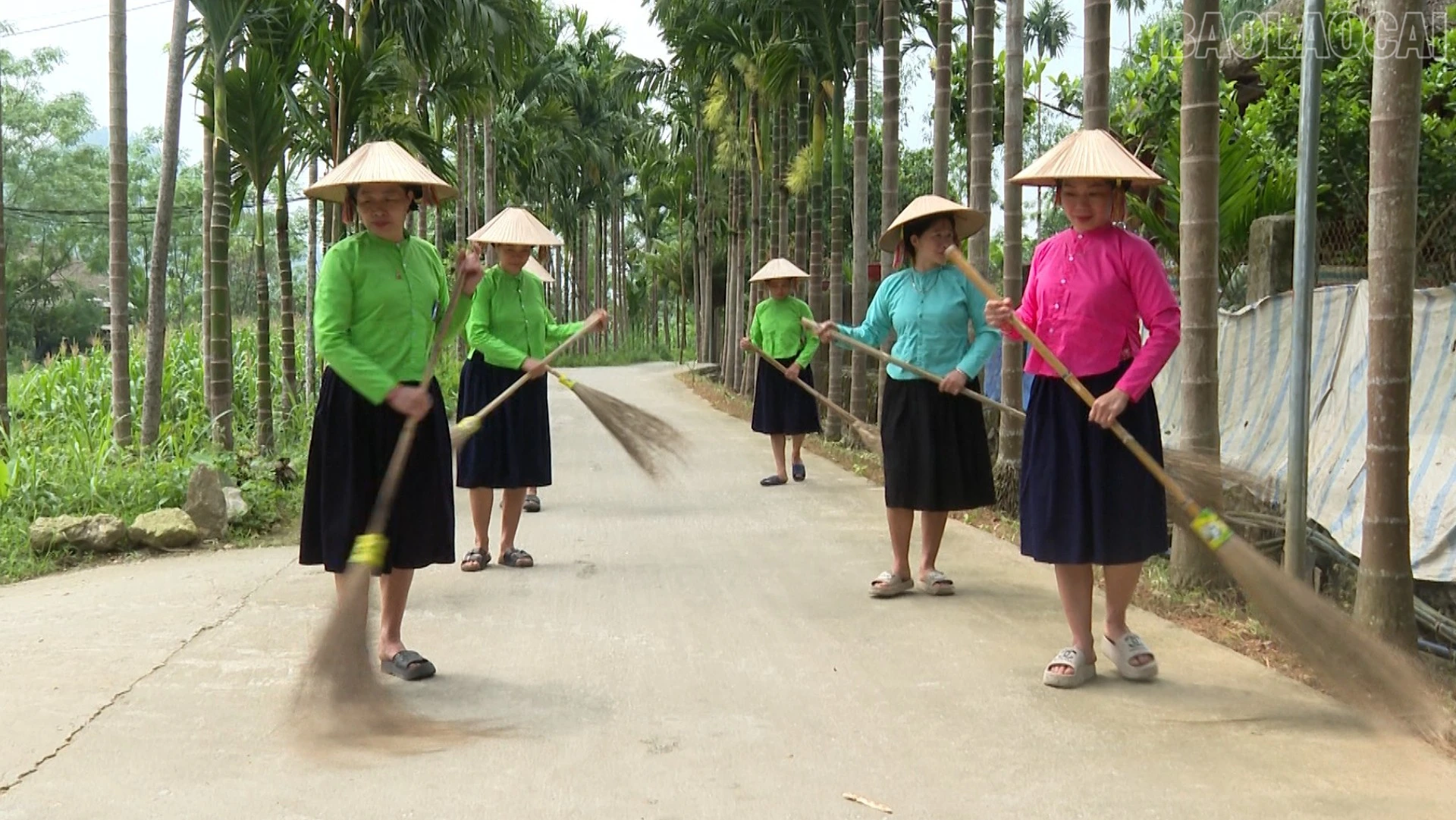 baolaocai-tr_anh-6-3423.jpg