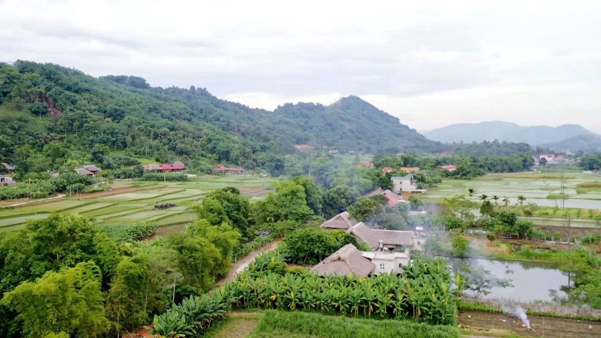 baolaocai-tr_lam-thuong-2.jpg
